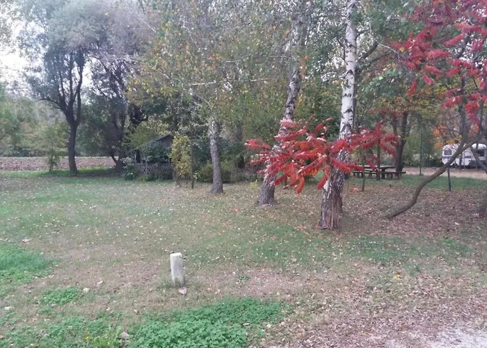 Apartamento On Dugi Otok Near Sakarun Veli Rat