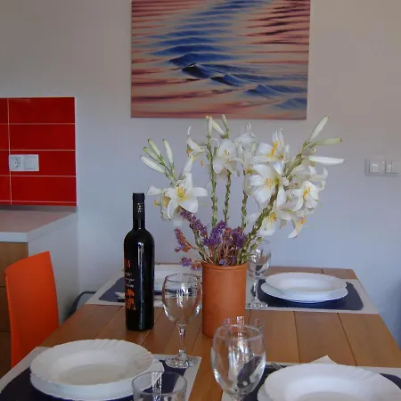 On Dugi Otok Near Sakarun Veli Rat