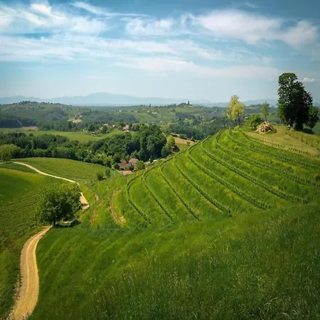 Apartamento On Dugi Otok Near Sakarun