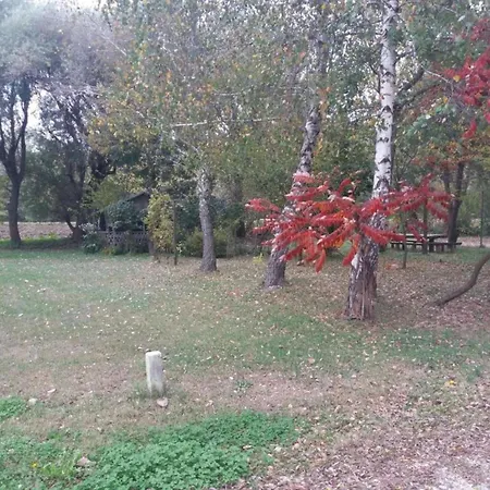 Apartamento On Dugi Otok Near Sakarun Veli Rat