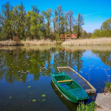 On Dugi Otok Near Sakarun Veli Rat